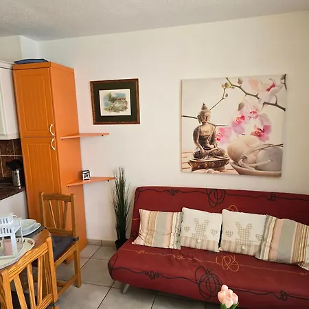 Casa Palmera 4 Only 150 Meters To Beach, Heated Pool, Wifi, Sat-tv, Terrace, Central Location, Washing Machine Apartament *